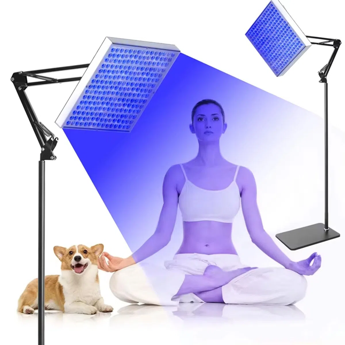 Lampe de Bronzage 45 W pour Le Corps et Le Visage, 113 Lampes solaires LED 660 nm + 112 Lampes solaires LED 850 nm avec Support réglable en Hauteur, Dispositif d'autobronzage Domestique Blue